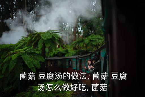 菌菇豆腐,主料:豆腐和杏鮑菇適量鹽適量橄欖油