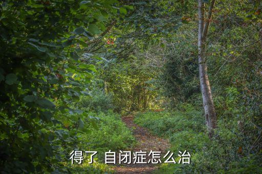 自閉癥怎么治療,自閉患病兒童治療各省區(qū)有培訓(xùn)補(bǔ)貼資金