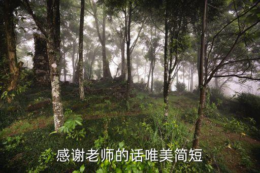 雨露文章網,春雨文章:老師您辛苦了春天的蠶會一直織到死