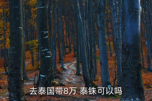 50萬泰銖,泰國免稅項目有哪些?