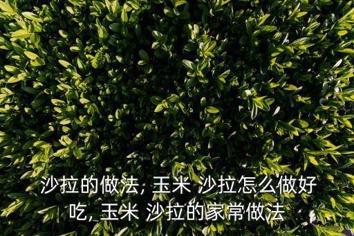  沙拉的做法, 玉米 沙拉怎么做好吃, 玉米 沙拉的家常做法