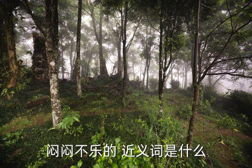 悶悶不樂的 近義詞是什么