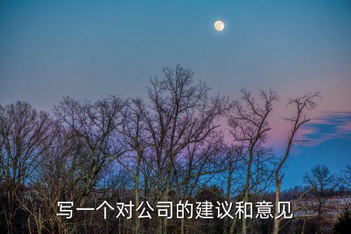 對公司的建議，寫一個對公司的建議和意見