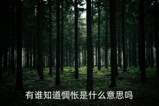 惆悵的意思，悵惘的意思