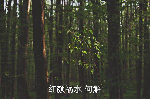 紅顏禍水的意思，紅顏禍水 何解