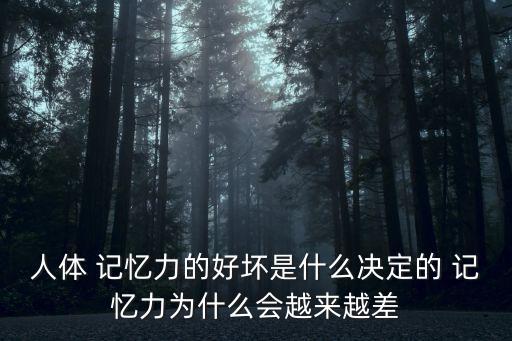 身體記憶,記憶力減弱或因為不良情緒影響