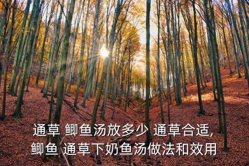  通草 鯽魚湯放多少 通草合適, 鯽魚 通草下奶魚湯做法和效用
