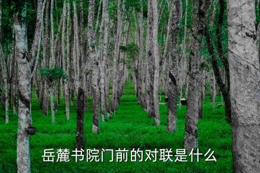 岳麓書院對聯，岳麓書院門口的對聯