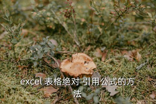 excel 表格絕對 引用公式的方法
