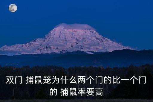 捕鼠籠,用扎線帶抓老鼠!這樣做可以捕捉狡猾老鼠嗎?