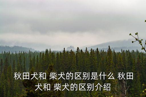  秋田犬和 柴犬的區別是什么 秋田犬和 柴犬的區別介紹