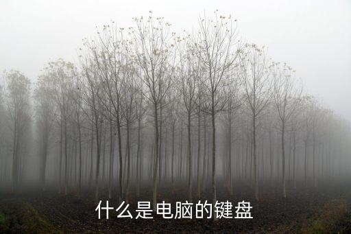 電腦鍵盤，電腦的鍵盤
