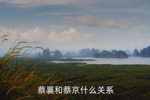  蔡襄和蔡京什么關(guān)系