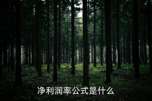 凈利潤(rùn)率公式是什么