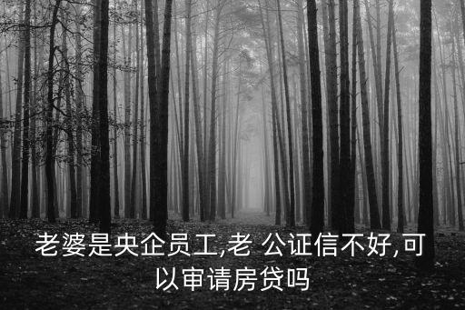 老婆是央企員工,老 公證信不好,可以審請房貸嗎