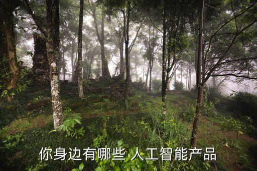 你身邊有哪些 人工智能產品