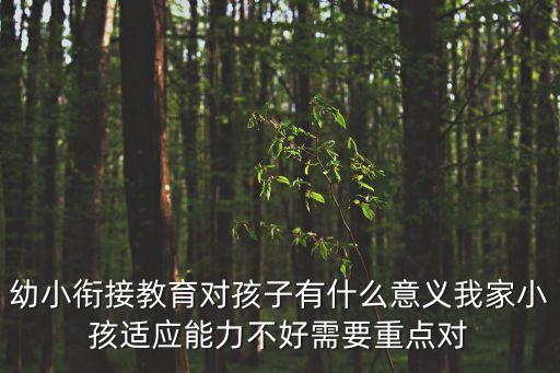 幼小銜接教育對孩子有什么意義我家小孩適應能力不好需要重點對