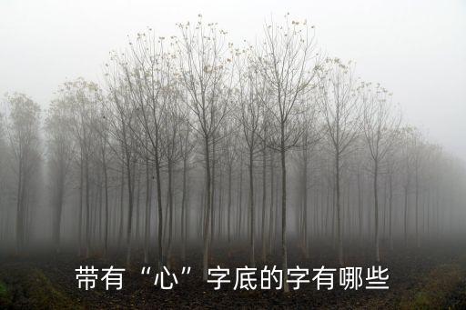 帶有“心”字底的字有哪些