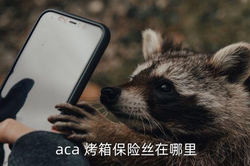  aca 烤箱保險(xiǎn)絲在哪里