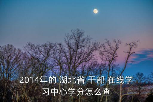 2014年的 湖北省 干部 在線學習中心學分怎么查