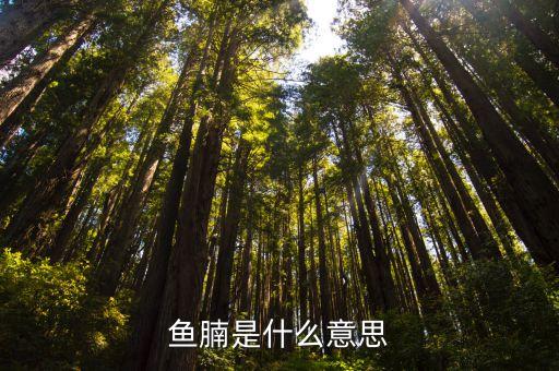 魚腩，魚腩是什么意思