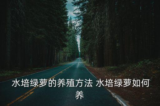  水培綠蘿的養殖方法 水培綠蘿如何養