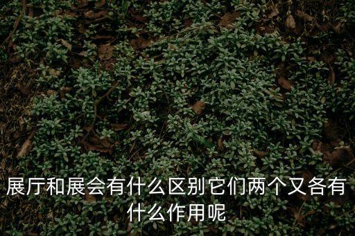 展廳和展會有什么區別它們兩個又各有什么作用呢