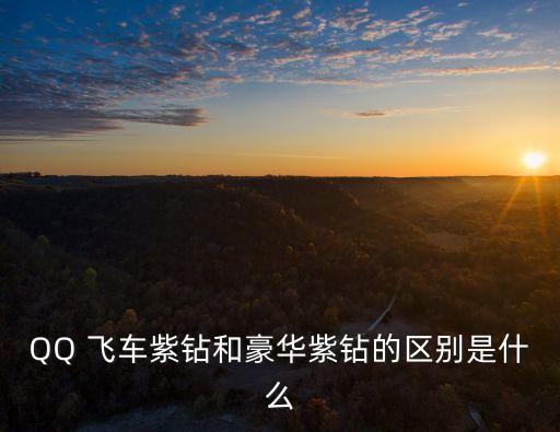 QQ 飛車紫鉆和豪華紫鉆的區(qū)別是什么
