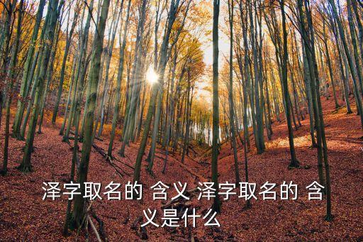  澤字取名的 含義 澤字取名的 含義是什么