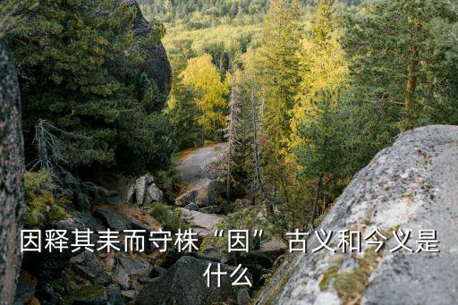 因釋其耒而守株“因” 古義和今義是什么