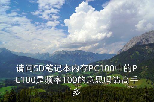 pc100，請問SD筆記本內存PC100中的PC100是頻率100的意思嗎請高手多
