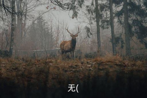 無(