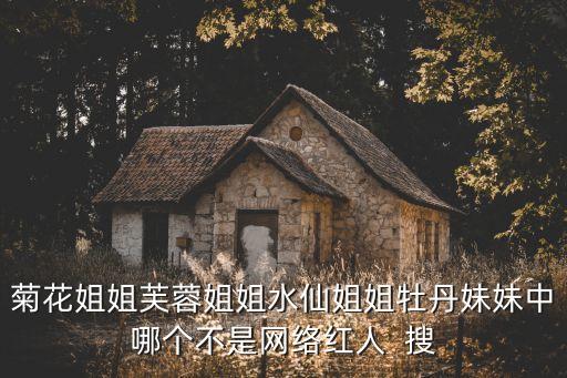 菊花姐姐，菊花姐姐芙蓉姐姐水仙姐姐牡丹妹妹中哪個不是網(wǎng)絡(luò)紅人  搜