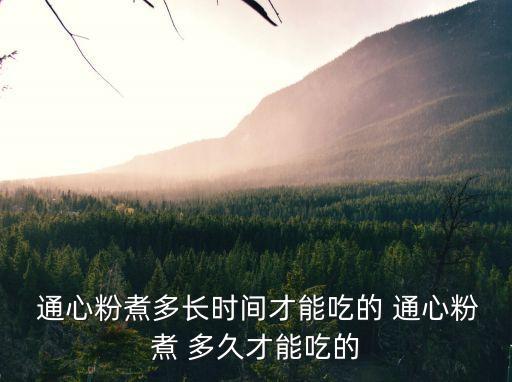 通心粉煮多久才算熟,泡通心粉很好煮煮熟放入冷水中過濾
