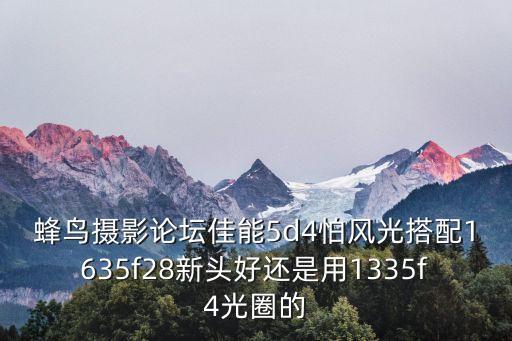 蜂鳥(niǎo)攝影，關(guān)于蜂鳥(niǎo)的攝影