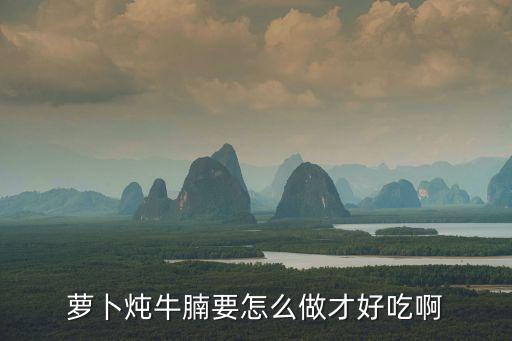 蘿卜燉牛腩要怎么做才好吃啊