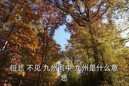 但悲不見九州同,陸游《秀子》死因何在?