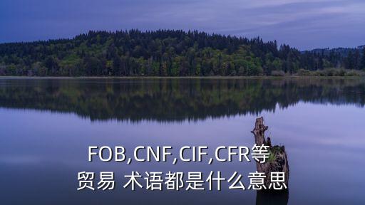 cnf貿(mào)易術(shù)語(yǔ),后接目的港名稱表示買方承擔(dān)包括運(yùn)費(fèi)在內(nèi)