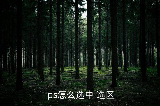 ps選區,用套索工具選擇需要操作的圖片