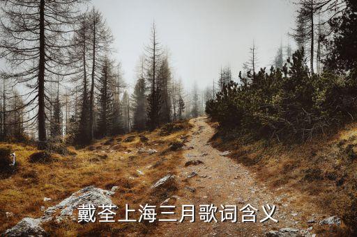 歌中故事,歌曲背后的真實故事