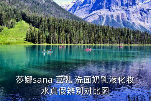 莎娜sana 豆乳 洗面奶乳液化妝水真假辨別對比圖