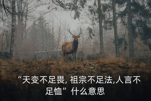 祖宗不足法,王安石名言:天時不足以懼祖宗法律不足人言不足