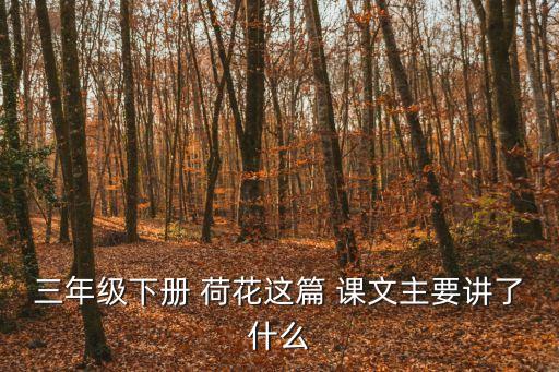 三年級下冊 荷花這篇 課文主要講了什么