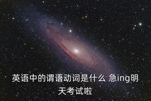謂語動詞有哪些，英語中的謂語動詞是什么 急ing明天考試啦
