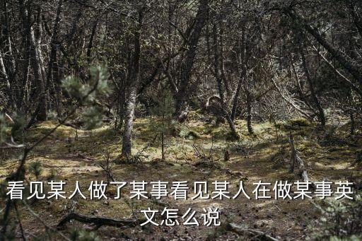 看見英語，看到了 用英語怎么說