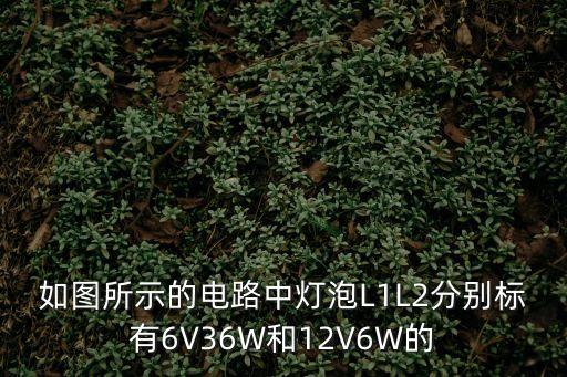 電燈泡圖片，請問誰見過這種燈泡叫什么燈泡在哪里有賣的謝謝