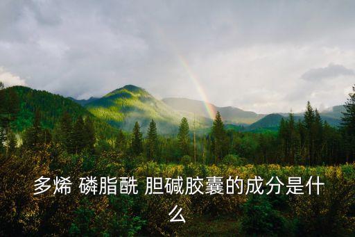 多烯磷脂酰膽堿,多烯磷脂酰基膽堿膠囊的成分是什么