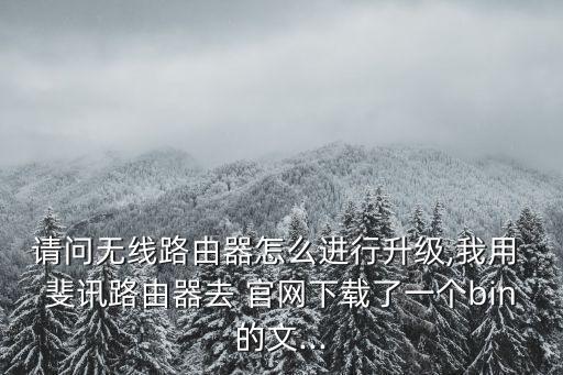 請(qǐng)問無線路由器怎么進(jìn)行升級(jí),我用 斐訊路由器去 官網(wǎng)下載了一個(gè)bin的文...