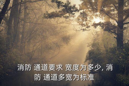  消防 通道要求 寬度為多少, 消防 通道多寬為標準