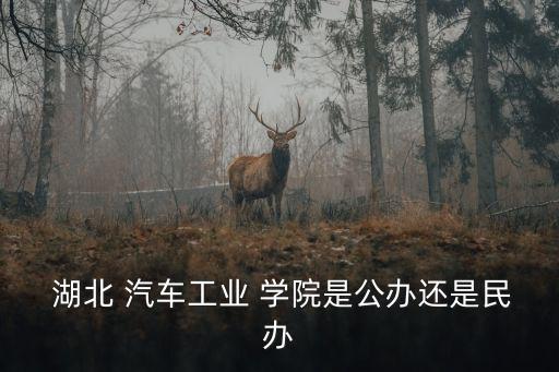 湖北汽車學院,湖北汽車行業學院簡介:湖北唯一公立大學